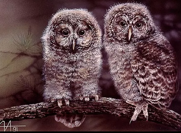 Иллюстрации Алексея Исакова (1952-2001)