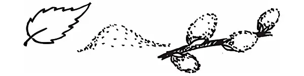 Ольга Щедринская "Путешествие котенка Тима" иллюстрация