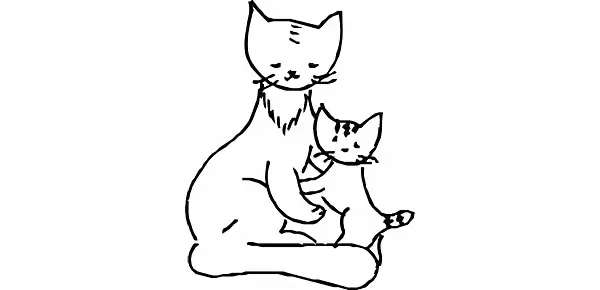 Ольга Щедринская "Путешествие котенка Тима" иллюстрация