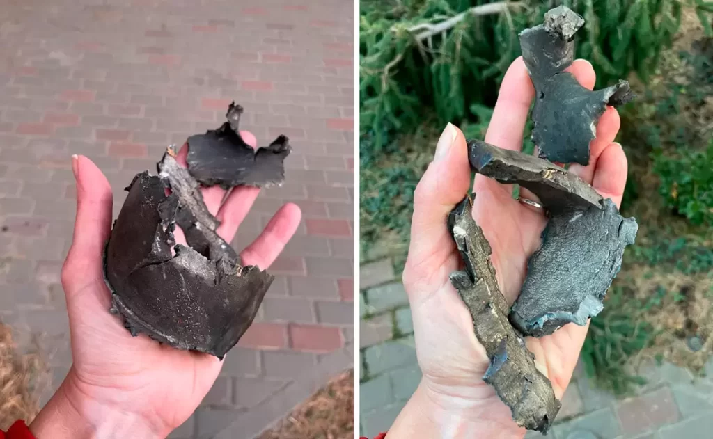 Ольга Прасол интервью Игла